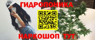 дживик Ирбит