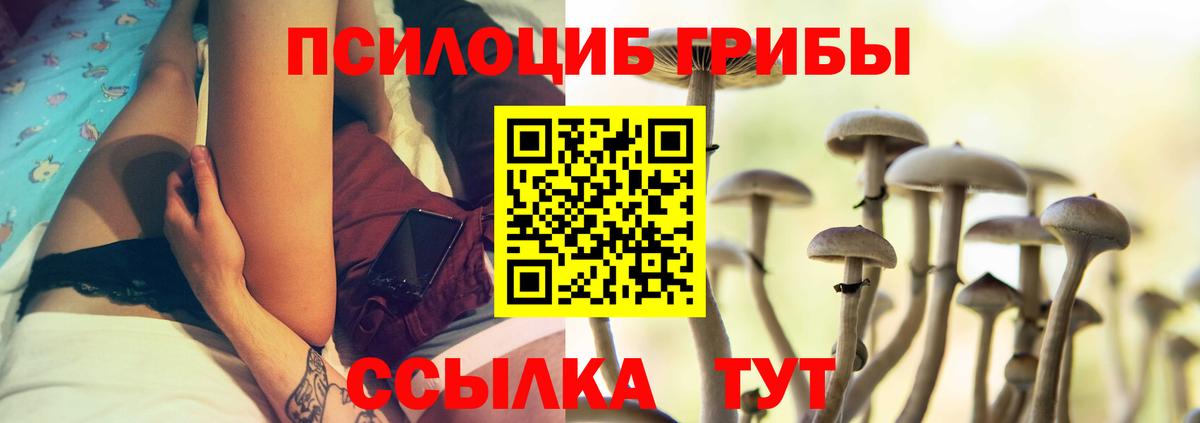 Элиста  Псилоцибиновые грибы мицелий  Вход с VPN 